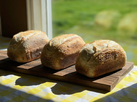 Sourdough - Cheddar Cheese