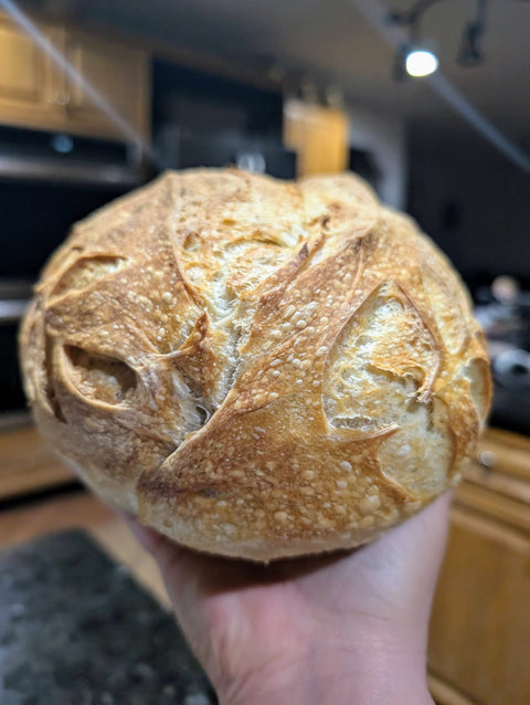 Firefly Meadows Traditional Sourdough