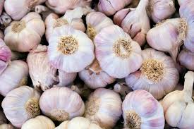 Garlic